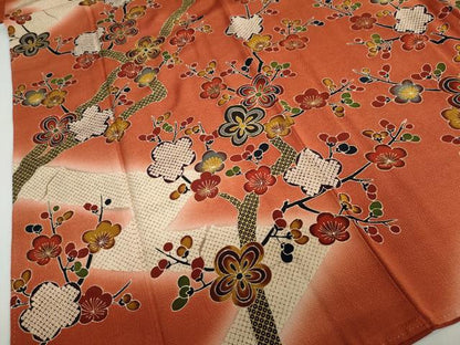 平和屋着物●訪問着 型染め 枝梅文 暈し染め 鬼しぼ縮緬 正絹 逸品 DABC2059ud