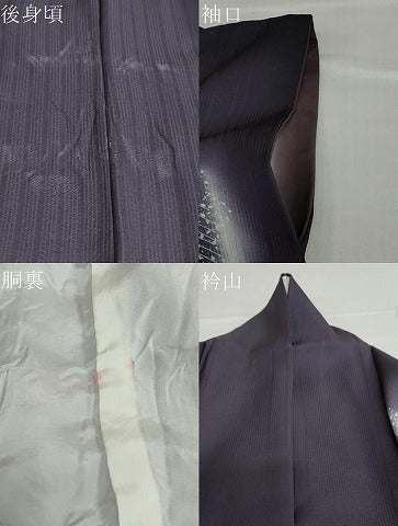 平和屋着物●訪問着 草花丸文 金銀彩 正絹 逸品 DABC2123ud