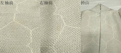 平和屋着物●本塩沢　110亀甲　亀甲文　正絹　逸品　DABC2243ud
