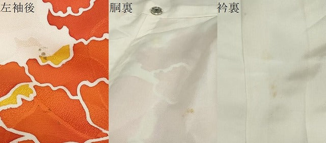 平和屋着物●豪華振袖　牡丹文　金彩　正絹　逸品　DABC2270ud