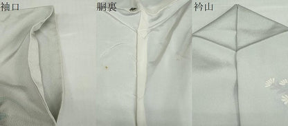 平和屋着物●訪問着　草花文　金彩　正絹　逸品　DABC2276ud