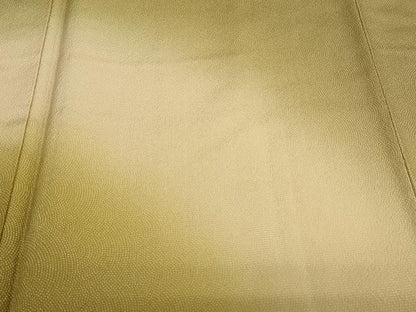平和屋着物●伝統工芸師　服部光擴　江戸小紋　訪問着　霞文　鮫小紋柄　正絹　逸品　DABC2514ud