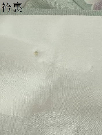 平和屋着物●訪問着　草花文　金銀彩　正絹　逸品　DABC2538ud