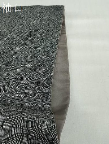 平和屋着物●江戸小紋　鮫小紋柄　正絹　逸品　DABC2594ud