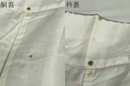 平和屋着物●本場琉球絣　正絹　逸品　DABC2723ud