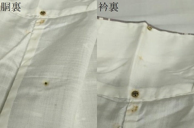 平和屋着物●本場琉球絣　正絹　逸品　DABC2723ud