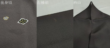平和屋着物●訪問着　竹屋町刺繍　洋花文　金彩　正絹　逸品　DABC2788ud