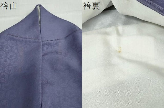 平和屋着物●上質な色無地　下がり藤　上がり藤地紋　薄鼠色　正絹　逸品　DABC2798ud