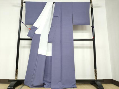平和屋着物●上質な色無地　下がり藤　上がり藤地紋　薄鼠色　正絹　逸品　DABC2798ud