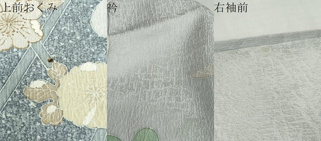 平和屋着物●訪問着　籬草花文　金彩　ロング丈　正絹　逸品　DABC2799ud