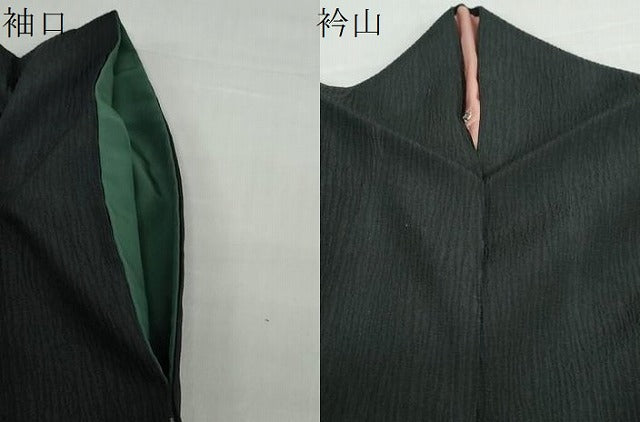 平和屋着物●訪問着　草花文　黒地　洗える着物　CABC2096ut 平和屋着物○訪問着 草花文 黒地 洗える着物 CABC2096ut 【公式通販】