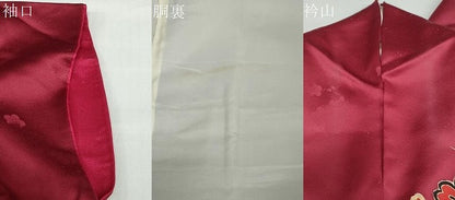平和屋着物●豪華振袖　花蝶文　金彩　正絹　逸品　DABC2894ud
