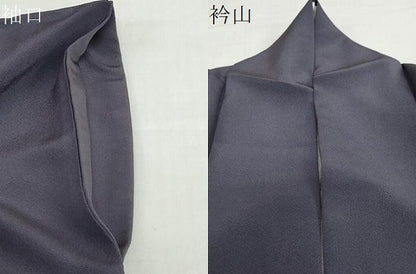 平和屋着物●豪華色留袖　雪輪飛鶴草花文　金彩　正絹　逸品　DABC2895ud