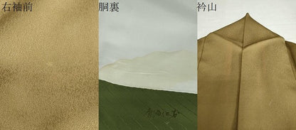 平和屋着物●染色作家　斉藤三才　訪問着　三才鳥　暈し染め　金彩　正絹　逸品　DABC2949ud
