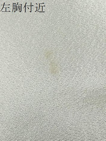 平和屋着物●訪問着　友禅　作家物　草花文　暈し染め　仮絵羽　正絹　逸品　未使用　DABC2956ud
