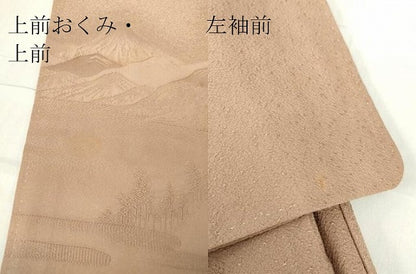 平和屋着物●豪華色留袖　色無地　作家物　東海道名所図　寿光　洒落柿色　正絹　逸品　DABC3030az