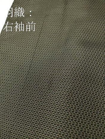 平和屋着物●男性　本場大島紬　アンサンブル　140亀甲　総詰め　正絹　逸品　DABC3210az