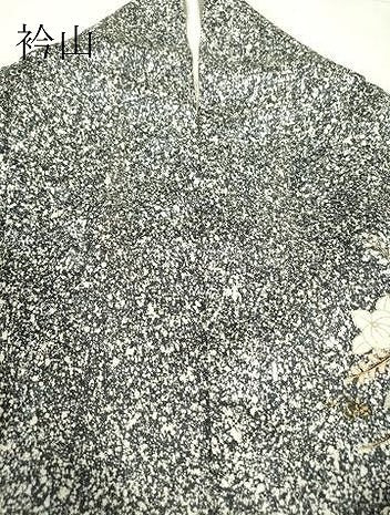 平和屋着物●訪問着　地紙枝花文　たたき染め　黒地　金銀彩　正絹　逸品　DABC3238az