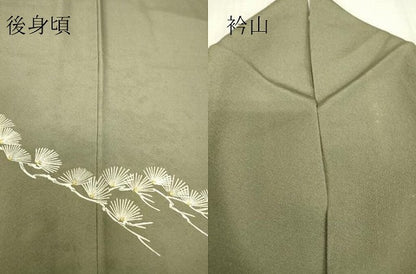 平和屋着物●訪問着　松に休み鳥　正絹　逸品　DABC3635az