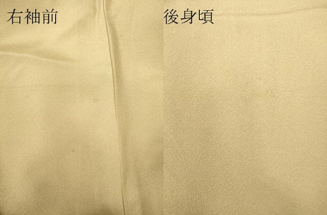 平和屋着物●訪問着　浜松風景文　暈し染め　金彩　正絹　逸品　DABC3780az