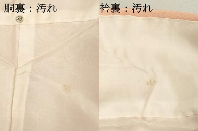 平和屋着物■上質な色無地 風景菱地紋 虹色 正絹 逸品 DABC4580cd
