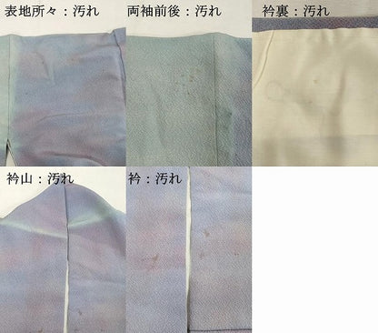 平和屋着物■上質な小紋 作家物 暁光ぞめ 霞文 暈し染め 正絹 逸品 DABC4627cd