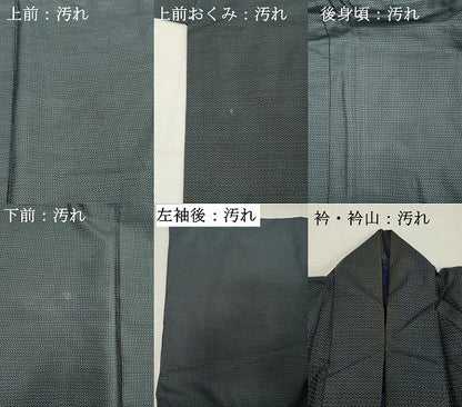 平和屋着物■男性　本場大島紬　100亀甲　総詰め　正絹　逸品　DABC4665cd
