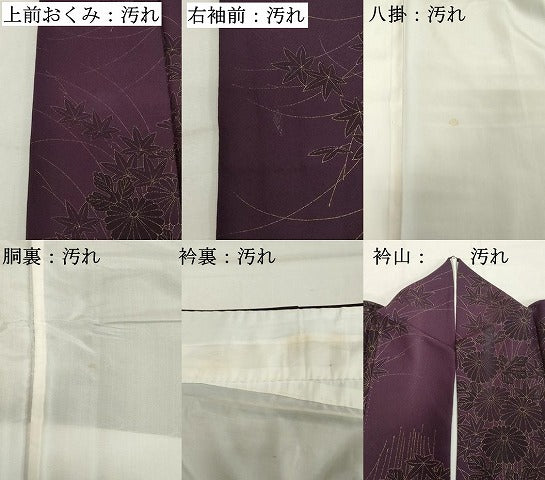 平和屋着物■上質な小紋 草花文 菊 金彩 正絹 逸品 DABC4793cd