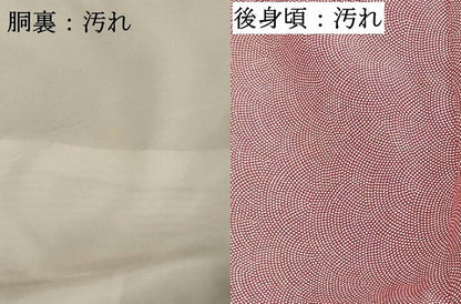 平和屋着物■江戸小紋 鮫小紋柄 正絹 逸品 DABC4824cd