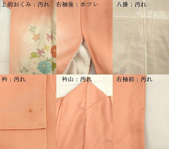 平和屋着物■訪問着 刺繍 牡丹花車文 暈し染め 正絹 逸品 DABC4870cd