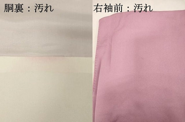 平和屋着物■訪問着 飛鶴 暈し染め 金銀彩 正絹 逸品 DABC4897cd
