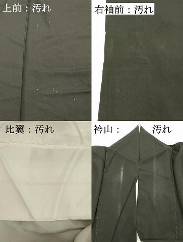 平和屋着物■豪華黒留袖　駒刺繍　鳳凰短冊花松文　金彩　正絹　逸品　DABC4900cd