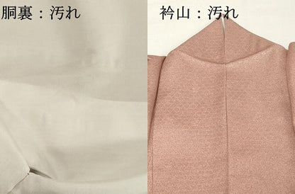 平和屋着物■訪問着 葡萄蔦の葉文 暈し染め 金銀彩 そごう百貨店扱い 正絹 逸品 DABC4908cd