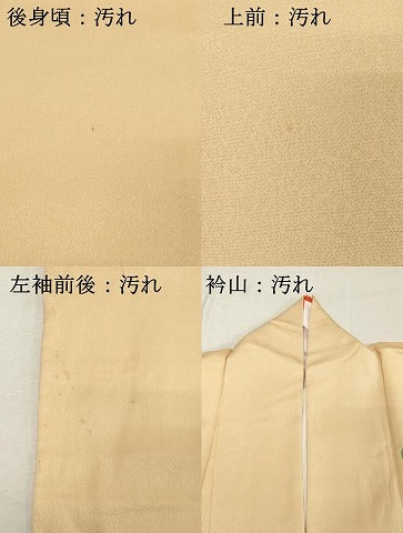 平和屋着物■訪問着 友禅 枝花文 正絹 逸品 DABC4910cd
