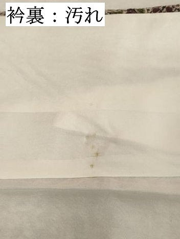 平和屋着物■訪問着 草花文 暈し染め 鬼しぼ縮緬 正絹 逸品 DABC4918cd