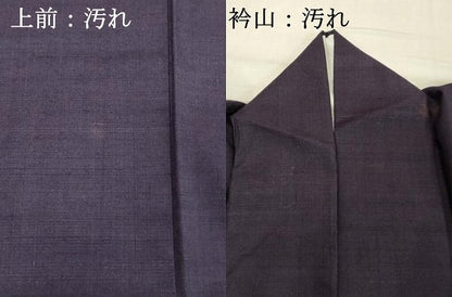 平和屋着物■上質な紬 深紫色 正絹 逸品 DABC4948cd