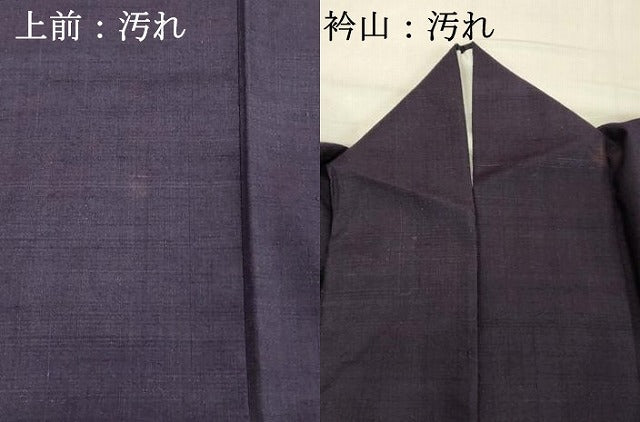 平和屋着物■上質な紬 深紫色 正絹 逸品 DABC4948cd