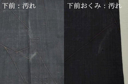 平和屋着物■上質な小紋 紬地 草花文 正絹 逸品 DABC4953cd