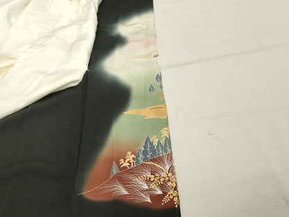 平和屋着物■豪華黒留袖 風景文 暈し染め 金彩 正絹 逸品 DABC4958cd