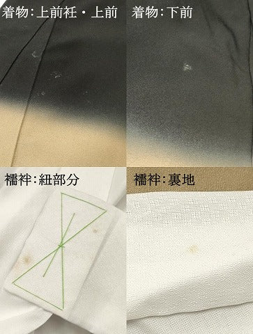 平和屋着物[]お宮参り　男の子　祝着　産着　初着　のしめ　鷹　鷲　片輪車松文　暈し染め　金彩　逸品　DABC5064ma
