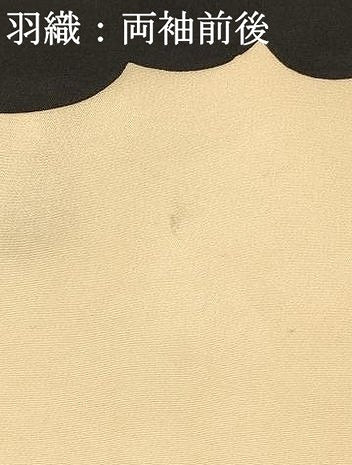 平和屋着物[]七五三　男の子　祝着・羽織セット　鷹　鷲　地紙風景松文　金彩　逸品　DABC5145ma