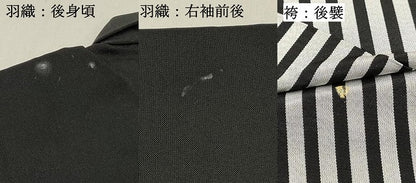 平和屋着物[]七五三　男の子　祝着・羽織・行灯袴セット　鷹　鷲　絵巻立波笹花文　金彩　DABC5168ma
