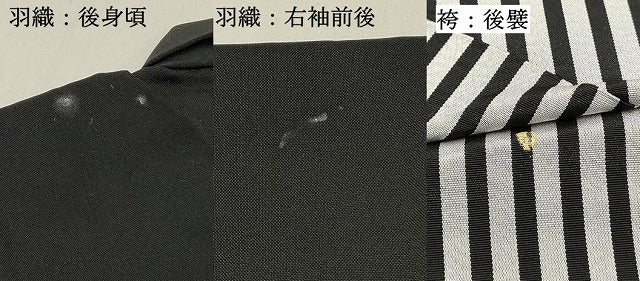 平和屋着物[]七五三　男の子　祝着・羽織・行灯袴セット　鷹　鷲　絵巻立波笹花文　金彩　DABC5168ma