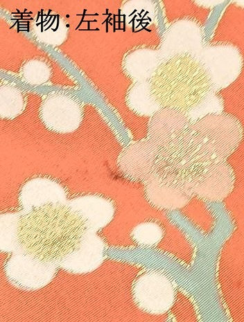 平和屋着物[]七五三 女の子 ７歳 祝着 四つ身 長襦袢(袷)セット 草花文 金彩 逸品 DABC5298ma
