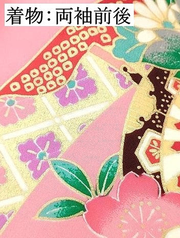 平和屋着物[]お宮参り　女の子　祝着　産着　初着　のしめ　刺繍　花車文　暈し染め　金彩　逸品　DABC5333ma