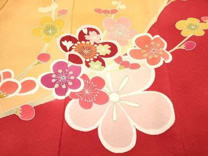平和屋着物[]お宮参り　女の子　祝着　産着　初着　のしめ　駒刺繍　枝梅文　金彩　逸品　DABC5339ma