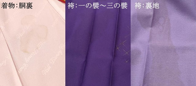 平和屋着物[]卒園式　女の子　子供　祝着・行灯袴セット　キャラクター　金銀彩　DABC5470ma
