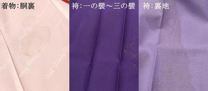 平和屋着物[]卒園式 女の子 子供 祝着・行灯袴セット キャラクター 金銀彩 DABC5470ma