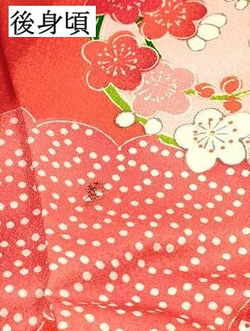 平和屋着物[]七五三　女の子　３歳　祝着　三つ身　雲取り花丸文　金彩　逸品　DABC5498ma