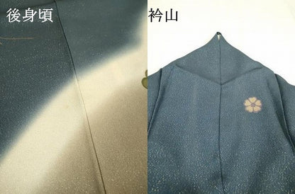 平和屋着物▼訪問着 駒刺繍 花松文 暈し染 金彩 金通し地 正絹 逸品 DABC6308fe